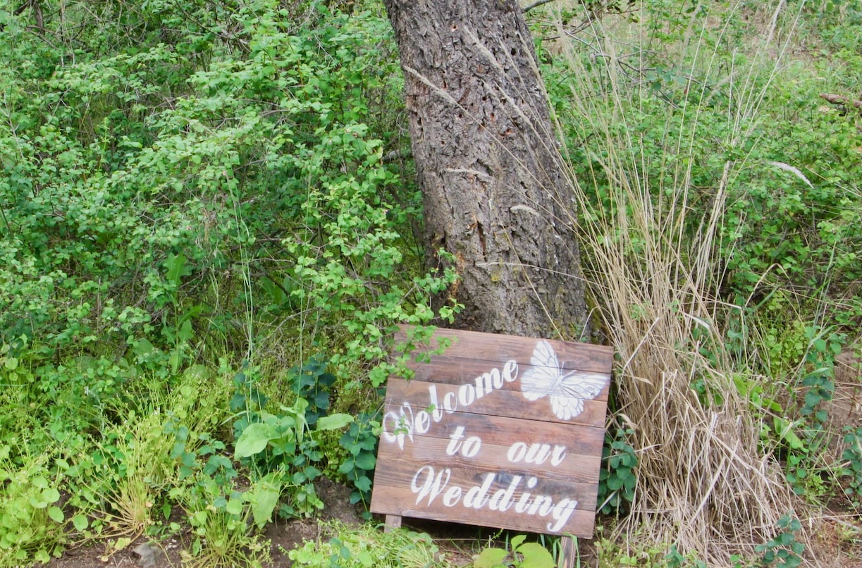 Welcome to our wedding